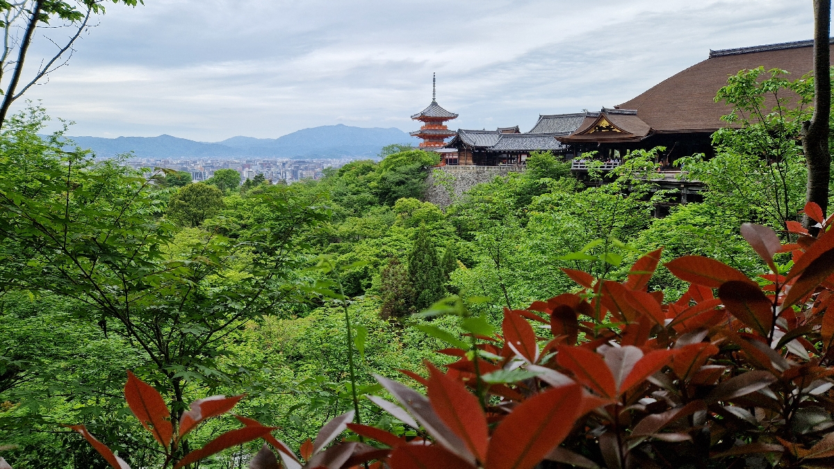 11 KYOTO Kiyomizu Dera